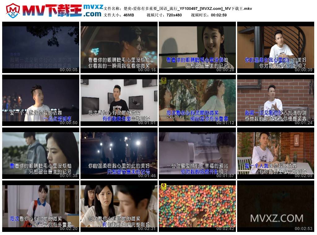 楚奕-爱你有多重要_国语_流行_YF100497